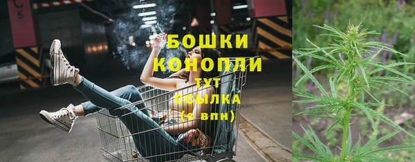 прущие грибы Надым