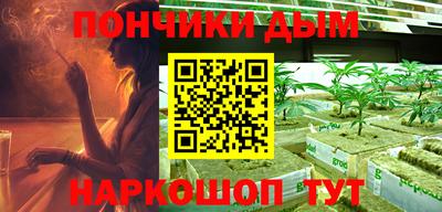 индика Дубна