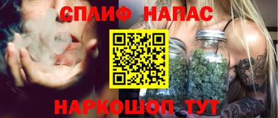 индика Дубна