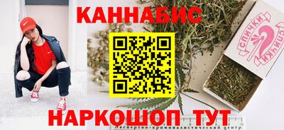 индика Дубна