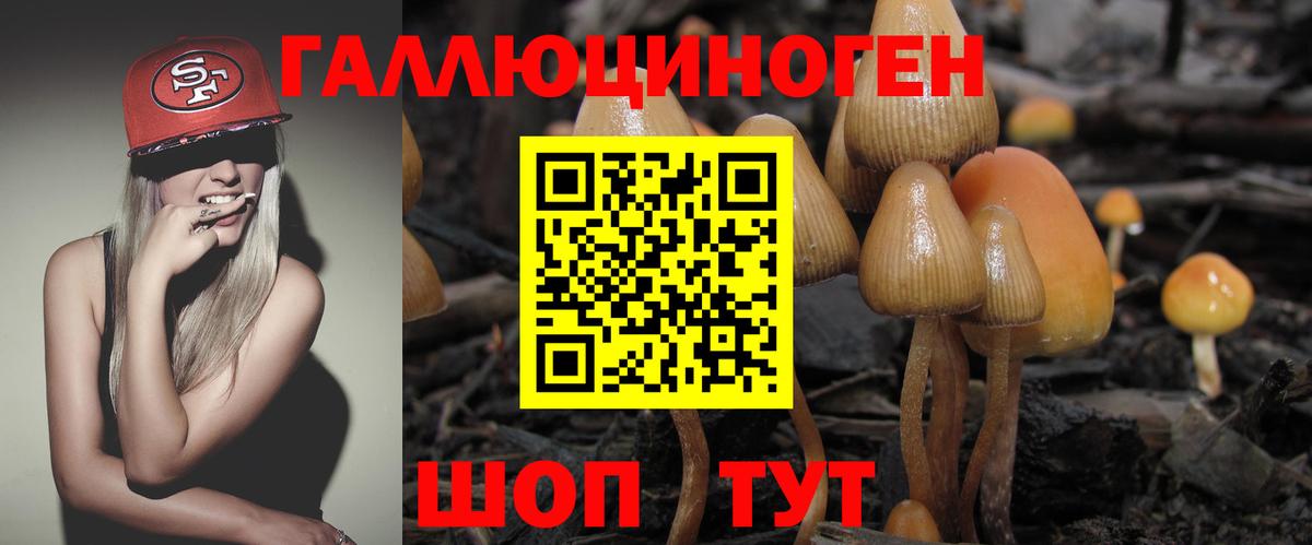 Обь  Галлюциногенные грибы мицелий  Вход с VPN 